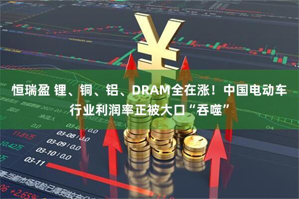 恒瑞盈 锂、铜、铝、DRAM全在涨！中国电动车行业利润率正被大口“吞噬”